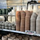 텃밭가든 | 일산 고양 화훼단지 , 헬로우 가든 마켓 초보 식물 고르기 분갈이 후기