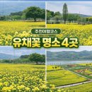 한강시민공원(화훼단지) 이미지