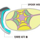SG골프클럽 이미지