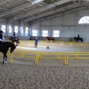 홍성군승마장 이미지