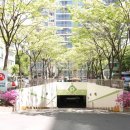 산호공인중개사사무소 이미지