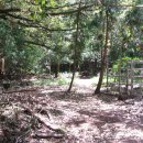 남조로수망교차로 4 이미지