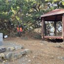 엄광산 동구경계 이미지