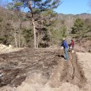 숲속 게르 하우스 이미지