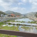 삼닭농장 네이버블로그