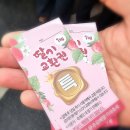 딸기 | 완주 삼례딸기대축제 후기｜딸기 가격 실화? 먹거리 가득한 봄 축제