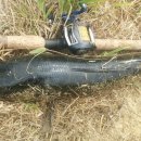 달성낚시 이미지