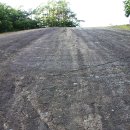 신성리 공룡발자국 이미지