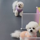 놀러왕왕왕 네이버블로그