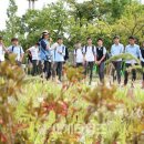 대전시청 이미지