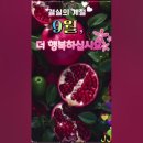 가을의 시작 9월 이미지 이미지