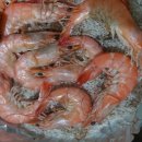 대천항세꼬시 이미지