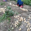 한스메디 이미지