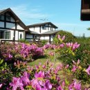 통나무힐스 이미지