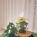 메리 샬롱 이미지