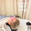 오늘은서귀포 이미지