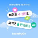 황금세탁 티스토리