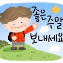 화양꽃집