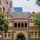 세인트필립동물병원 | 30cm 펭귄의 치명적인 귀여움을 아십니까 - 룬베이커리 크로와상, 듁스 커피, 퍼핑빌리&amp;필립아일랜드 투어