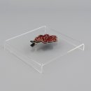 블레스유 이미지