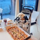 로사 안젤라 - 안성시 | 시흥 반려견동반 맛집 로사안젤라 월곶점
