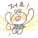 샤플리 네이버블로그