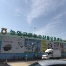 고양신발 이미지