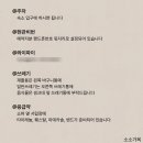 큰소낭 작은돌집 | 제주 동쪽 감성숙소 추천 소소가옥 독채 3박4일 숙박후기