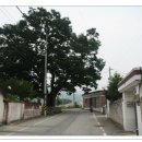 모정 경로당 이미지