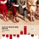 신소양천 머니투데이