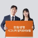 한화생명 이미지