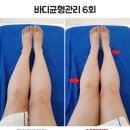 닥터스윌리
