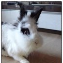 백자농장 | <식이네 농장> 함안 가야백자 메론 구입 후기 + 멜론 보관법