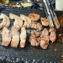 형제고기야 | [수진역 고기맛집] 형제고기집 솔직후기! 모듬·주먹고기·갈매기살 먹어본 날