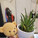 미스트롯 노래연습장 이미지