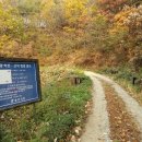 하천리-6 이미지