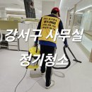 돌핀크린 이미지