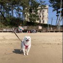 벤지 펜션 이미지