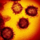 노벨의료기 | [부산방역/세니코] 왕성교회 발생, 각종 소모임 감염, 깜깜이 감염 증가