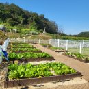 숲속늘푸른어린이집 이미지