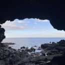 해안반점 이미지