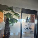 햇살두부촌 | 속초 카페 너래 ㅡ유리 천장 아래 흐르는 시간,속초 대형 카페,설악산 카페,속초 카페,속초베이커리카페...