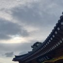 현대축산물도매센타 이미지