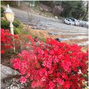 보리랑밥이랑 이미지