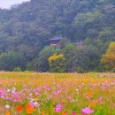 10월 13(화)~15(목)/ 진주 아트 투어 &amp; 남강 유등제, 사천 바다음식 스페셜 이미지