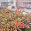 동작충효길 7코스 까치산길 | 서울 동작충효길 7코스 까치산길 남현예술정원 걷기좋은길