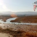 오광 주유소 네이버블로그
