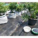 해룡농장 이미지