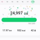 231118-3 다이어트? 167일 - 다이어트 없음, 전포동 베이커리 노베이커노베이커스 크로와상, 연의양과...