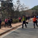 내연산치유의숲 티스토리